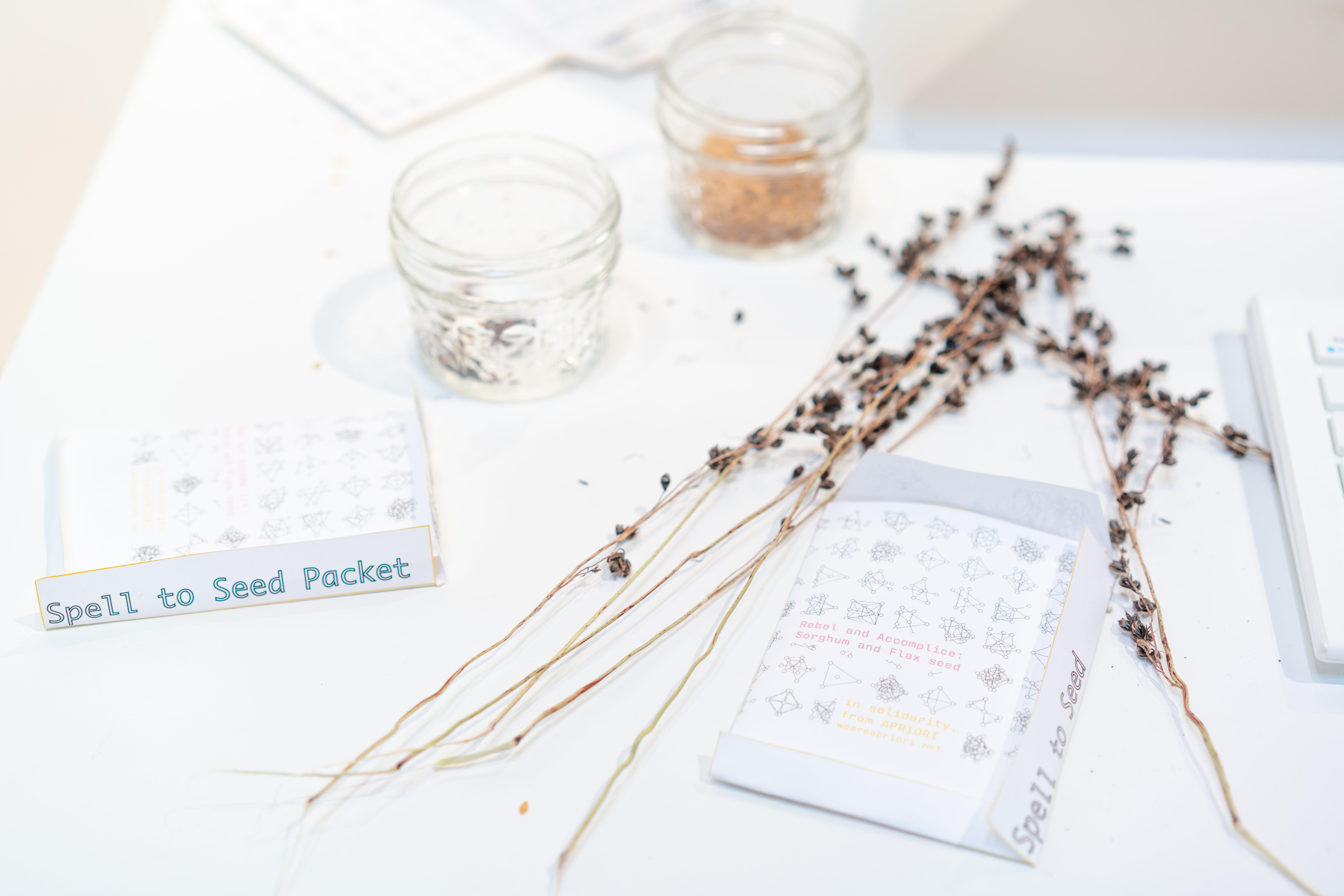 Coven Intelligence Program, 2019. Notes for Haunting Property.
