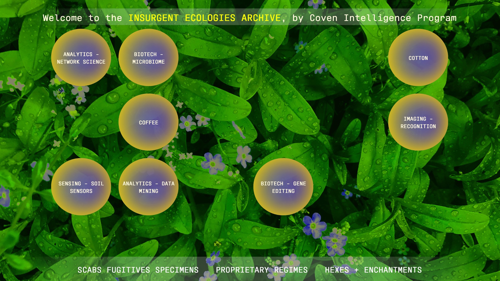 Coven Intelligence Program, 2021. Still of the Insurgent Ecologies Archive