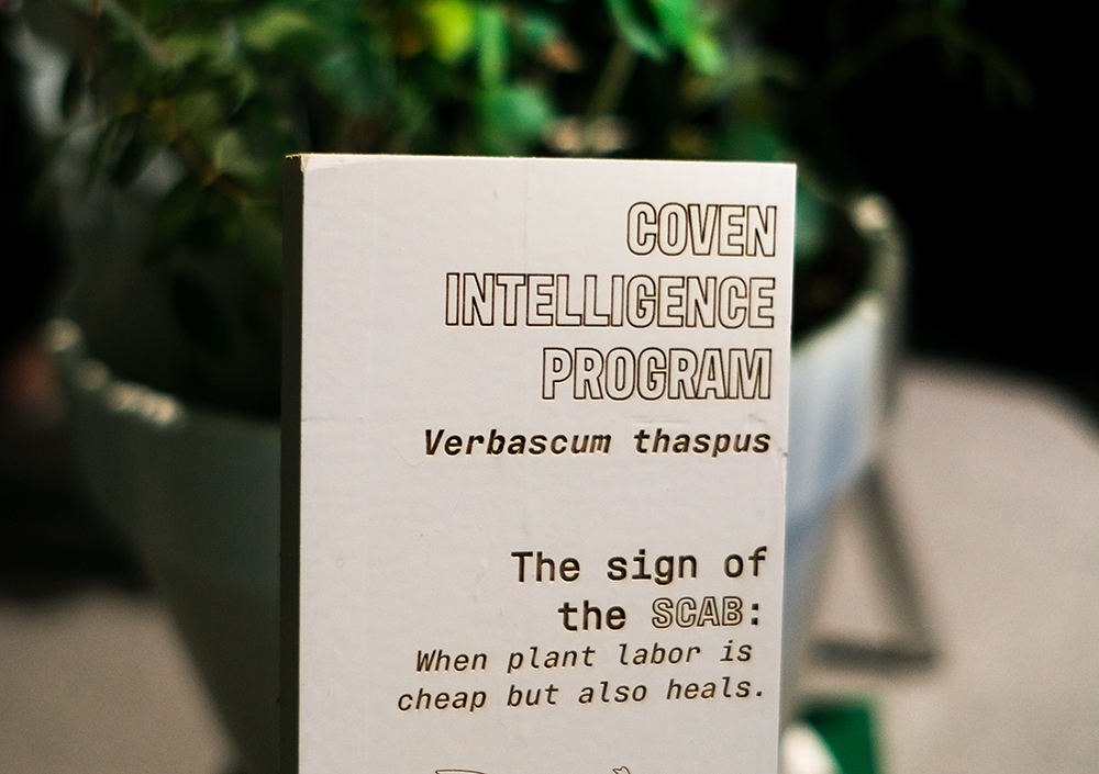 Coven Intelligence Program, 2020. One two three potions a secret word/ and soon you’ll see a freer world. 