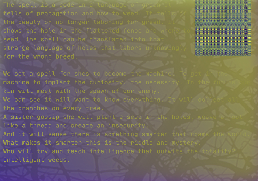 Coven Intelligence Program, 2018