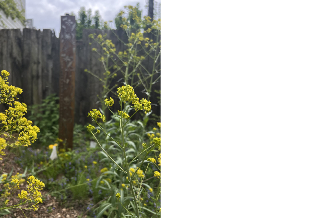 Margaretha Haughwout, 2024. DE-FENCE part 2: the Line Becomes the Territory. Photograph by Ellie Irons.Y