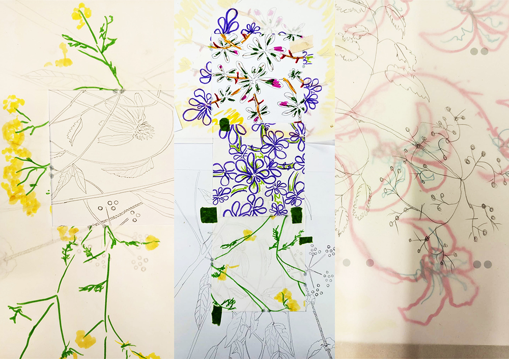 Margaretha Haughwout, 2023-24. Process image for DE-FENCE part 2: the Line Becomes the Territory.