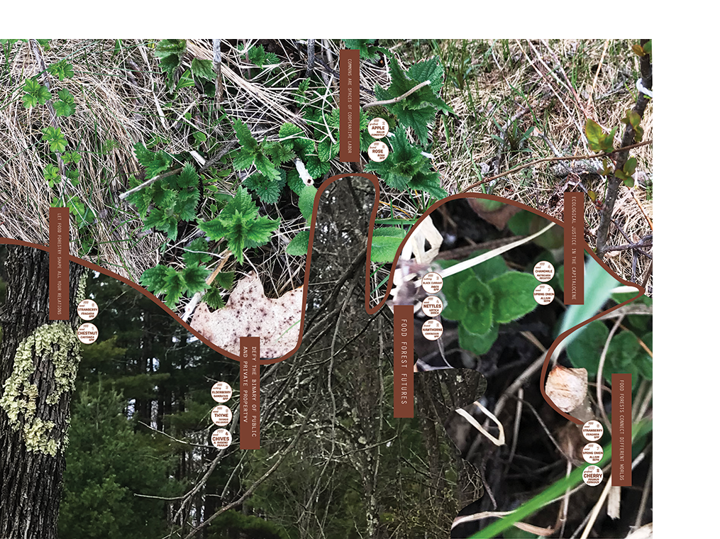 Margaretha Haughwout, 2022. Food Forest Futures.
