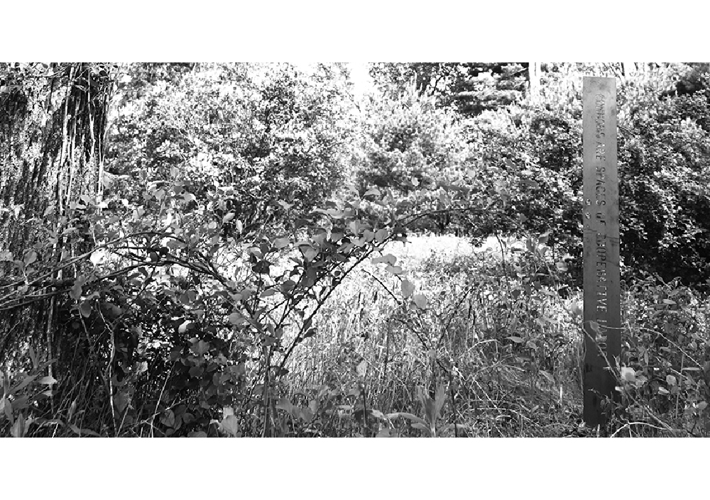 Margaretha Haughwout, 2022. Food Forest Futures.