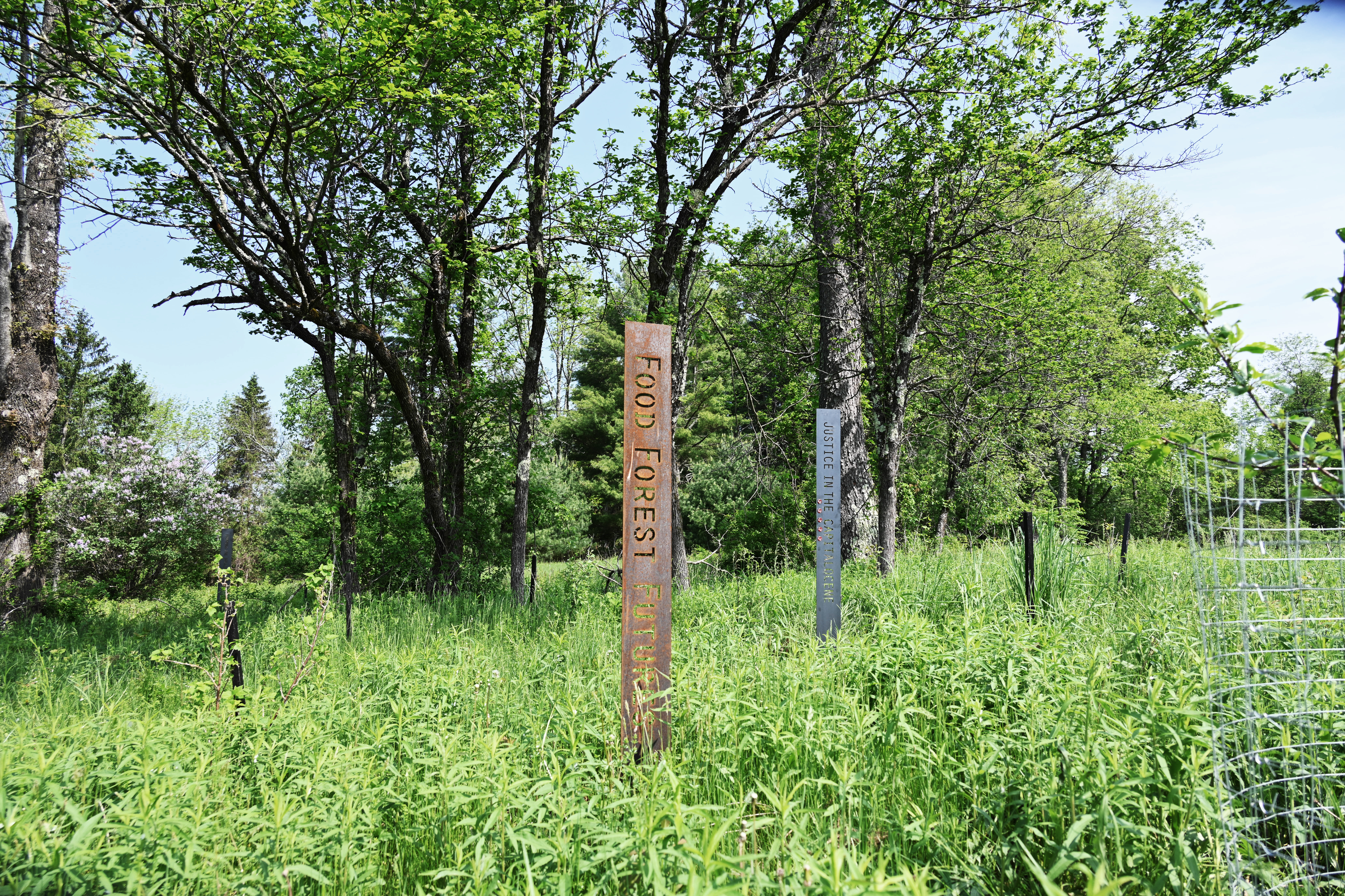 Margaretha Haughwout, 2022. Food Forest Futures.