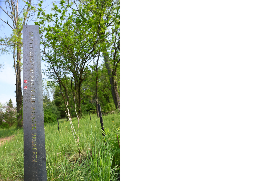 Margaretha Haughwout, 2022. Food Forest Futures.