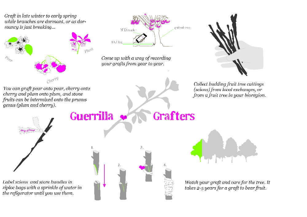 Guerrilla Grafters, 2017. Poster.