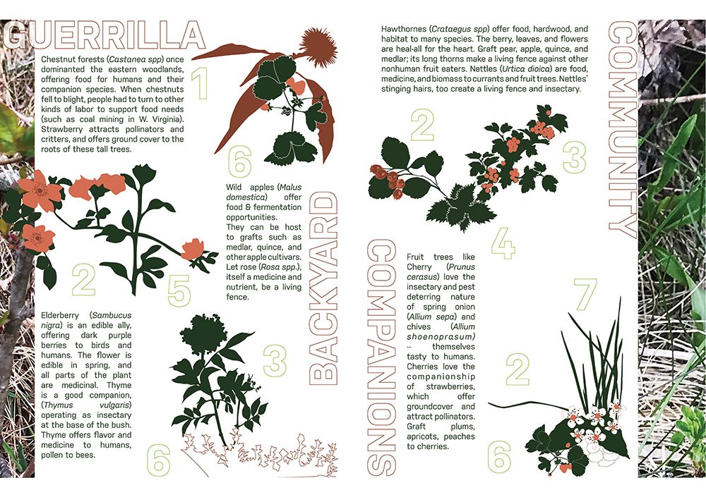Margaretha Haughwout, 2022. Food Forest Futures.